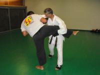 saisie du middle kick 2